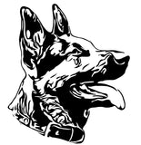 Pet Decals