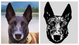 Pet Decals