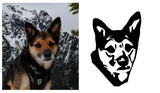 Pet Decals