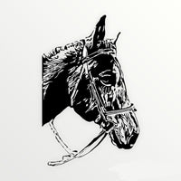 Pet Decals